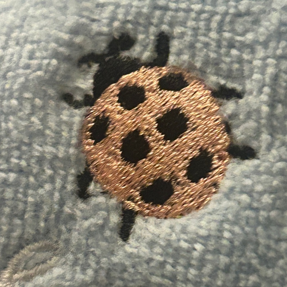 Lady Bug Daffodil Finger Tip Towel Set of 2 Embroidered Light Blue Terry Cloth